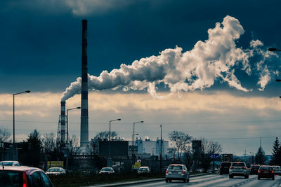 The Nose Knows: Understanding the Impact of Air Pollution on Nasal Health